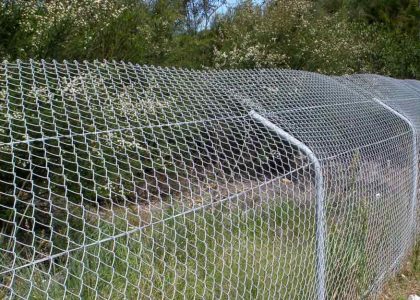 Fauna-Fencing-under-construction-fencing-page_optimizwed-1000x625-1920w.jpg