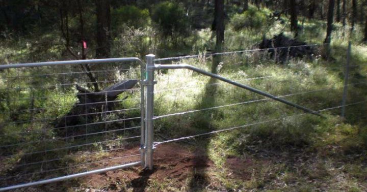 efc654726472451bbc9b467009c8ac86-800x450.dm.edit_Xut8gN-1920w